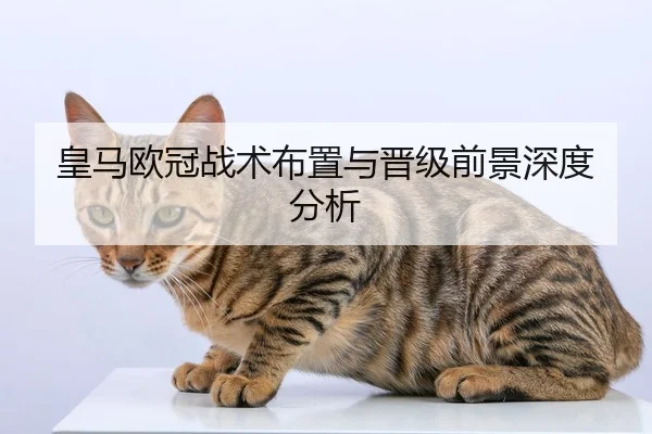 皇马欧冠战术布置与晋级前景深度分析